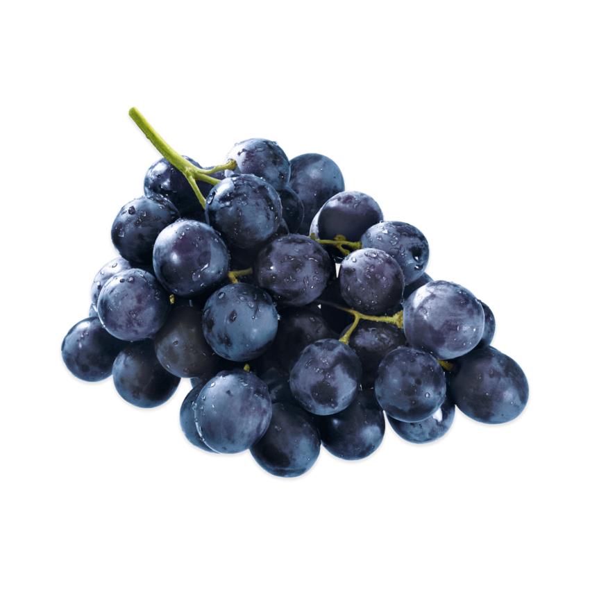 La missione di Valle di Assisi Grappolo di uva nera con gocce d'acqua su sfondo nero