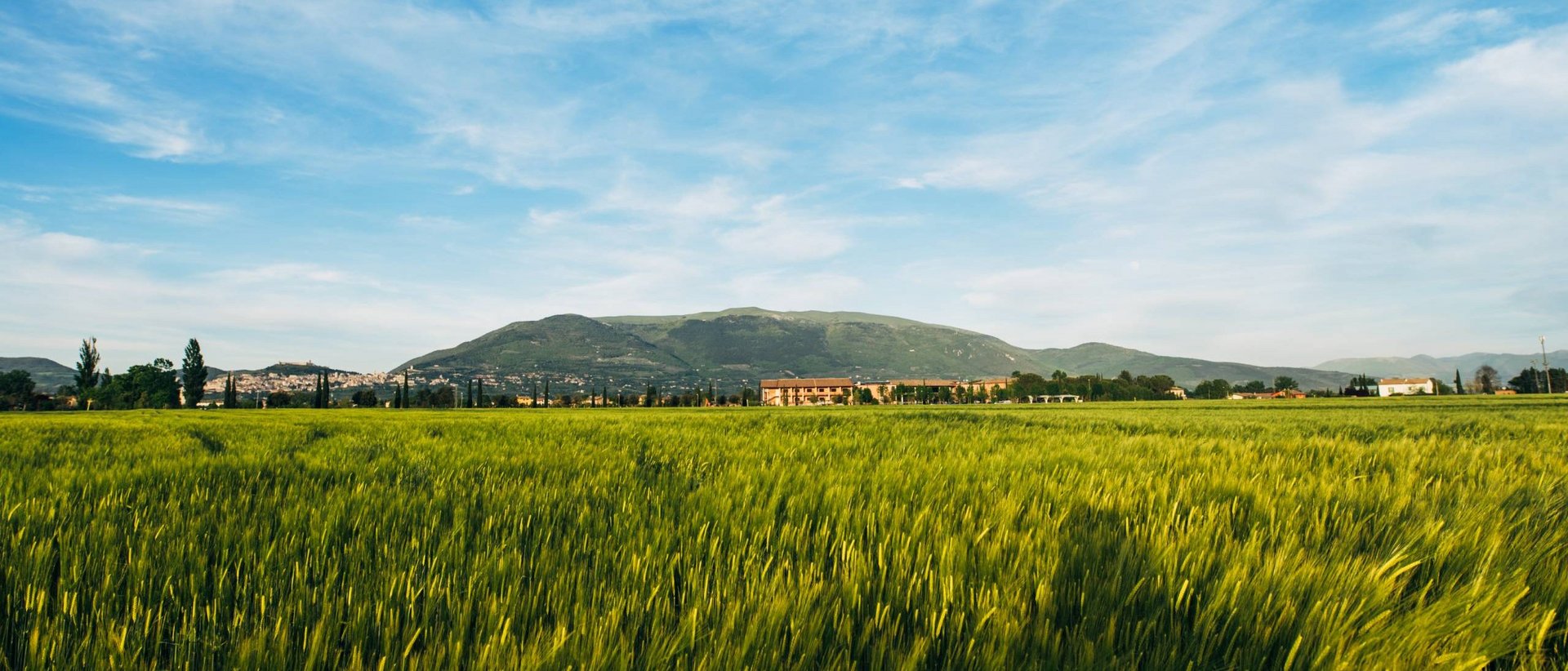 Pranzo di Pasquetta ad Assisi con Percorso SPA A Valle di Assisi, il Ristorante Recanto vi aspetta Campo verde con grano e colline sullo sfondo sotto un cielo azzurro