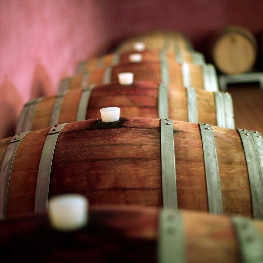 Un hotel accessibile, in Umbria, con una marcia in più Botti di legno per invecchiamento del vino in cantina