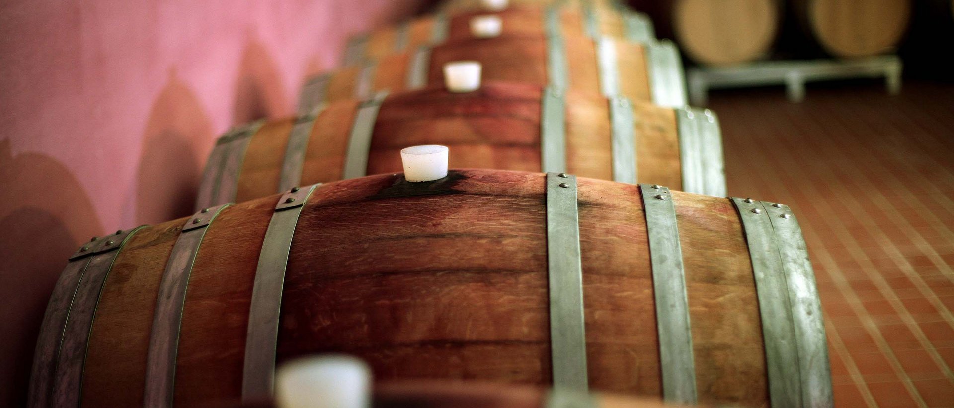 Pranzo di Pasquetta ad Assisi con Percorso SPA A Valle di Assisi, il Ristorante Recanto vi aspetta Botti di legno per invecchiamento del vino in cantina