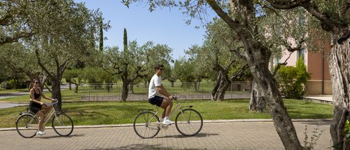 Un resort in Umbria per bambini, famiglie e coppie Coppia che va in bicicletta su un sentiero tra gli ulivi in una giornata soleggiata