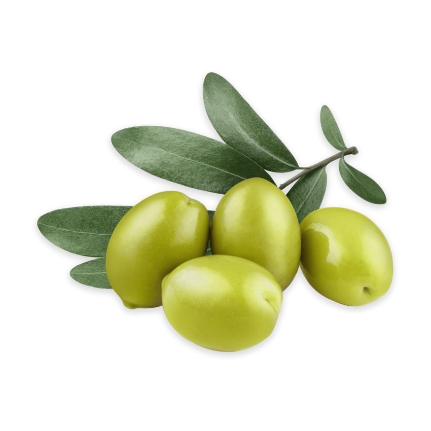 La missione di Valle di Assisi Quattro olive verdi fresche con foglie di ulivo su sfondo nero